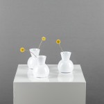 NUOMA: Vazelė 17-10853 balta